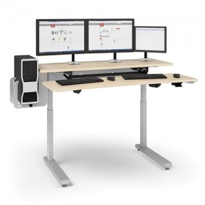 Ergoton Sit Stand Desk WorkFit and Elevate